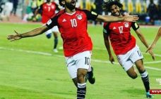 مصر تعلن عن الملاعب التي ستستضيف كأس الأمم الأفريقية 2019